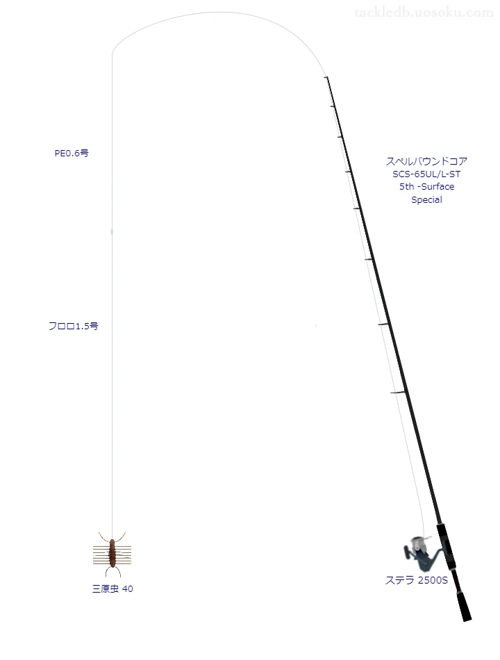 三原虫 40でフックにワーム 318 ワッキー #3を使うバス釣りタックル【スペルバウンドコア SCS-65UL/L-ST 5th   -Surface Special】