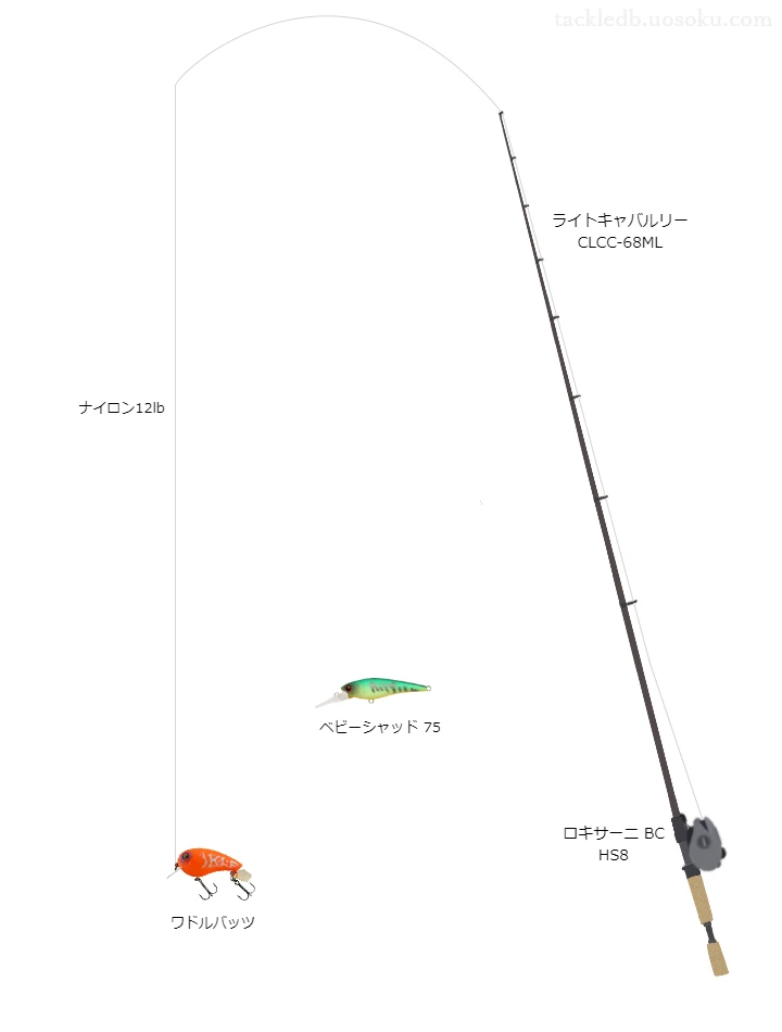 【河川】ワドルバッツを活かすバス釣りタックル【仮想インプレ】