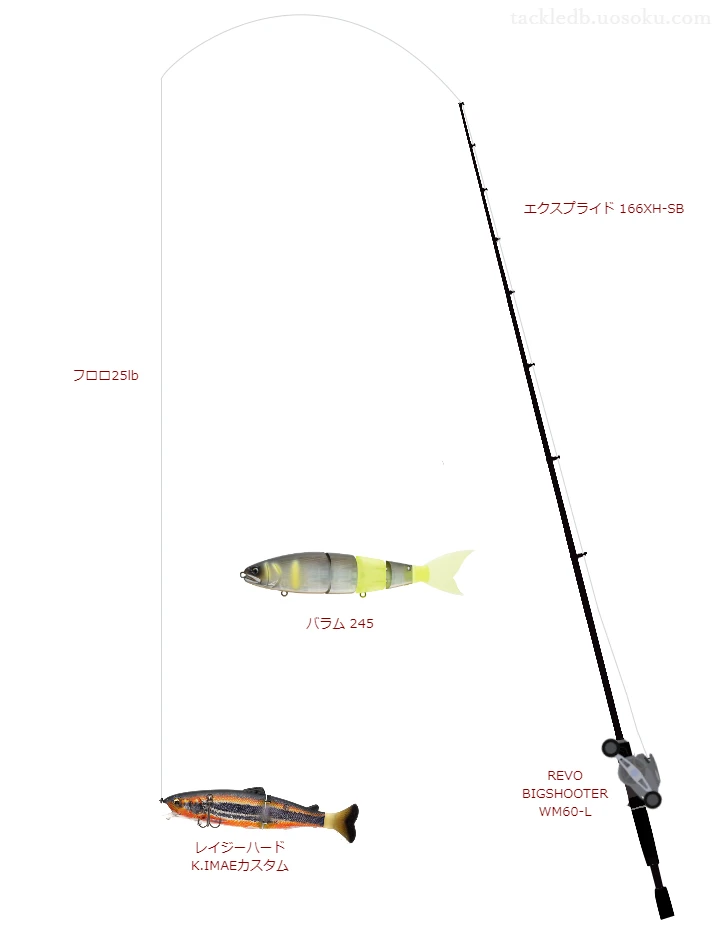 バス釣りに関するタックル、仕掛け図解