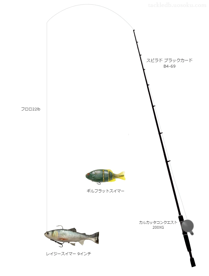 バス釣りに関するタックル、仕掛け図解