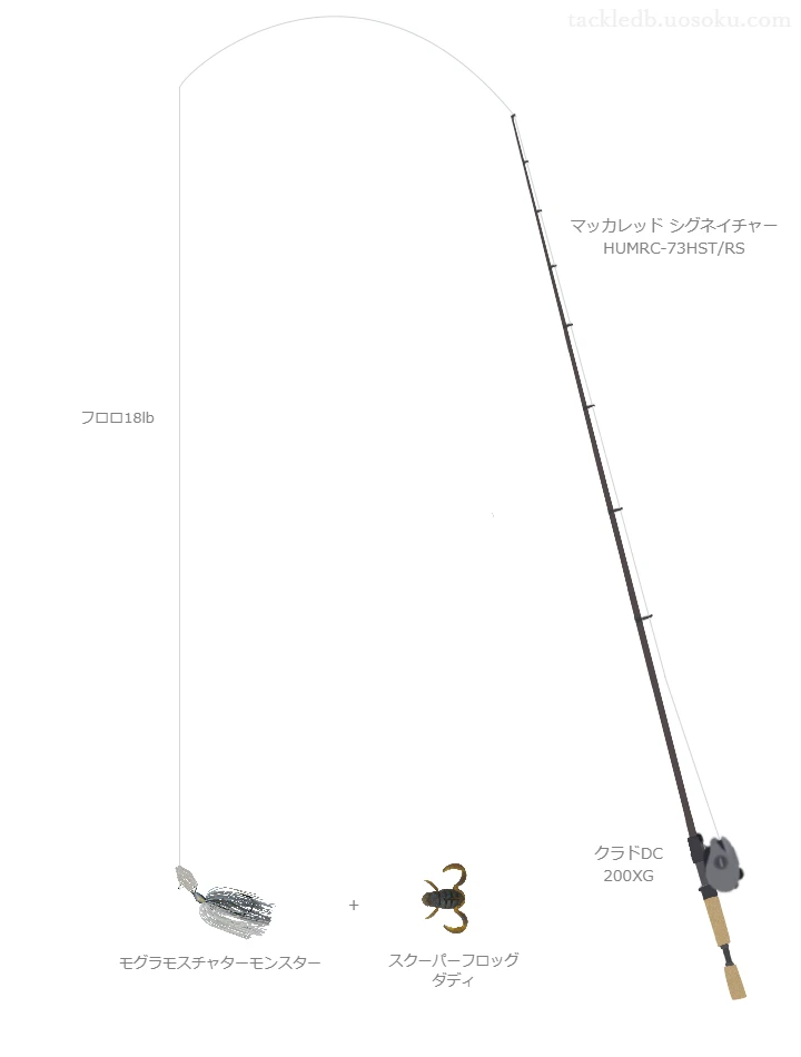 バス釣りに関するタックル、仕掛け図解