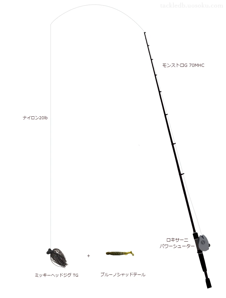 バス釣りに関するタックル、仕掛け図解