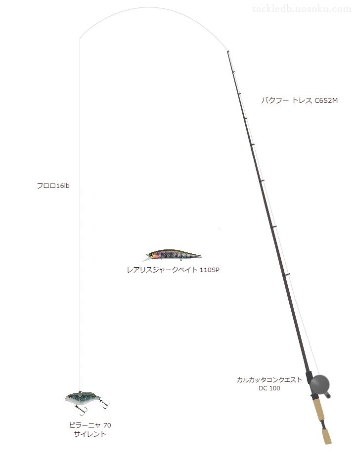 バス釣りに関するタックル、仕掛け図解