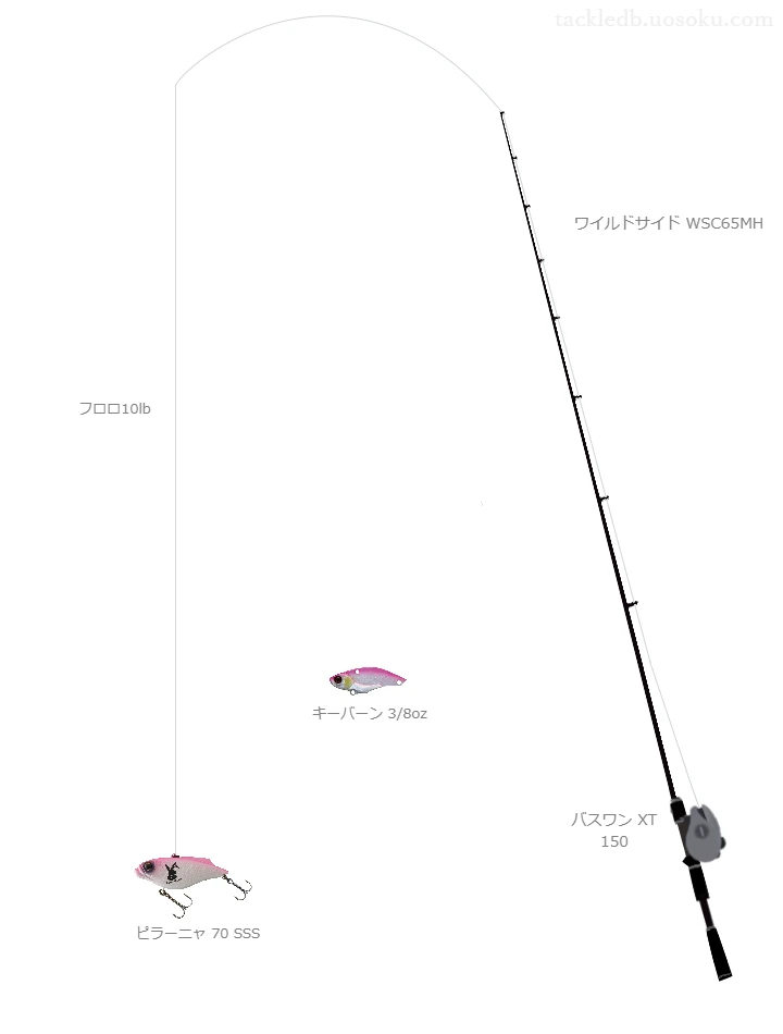 バス釣りに関するタックル、仕掛け図解