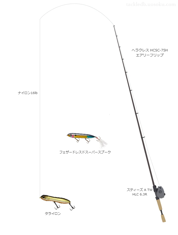 バス釣りに関するタックル、仕掛け図解