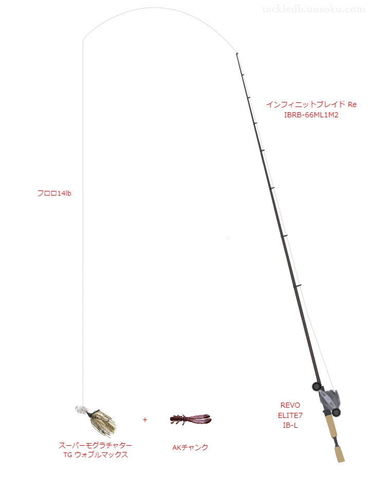 バス釣りに関するタックル、仕掛け図解