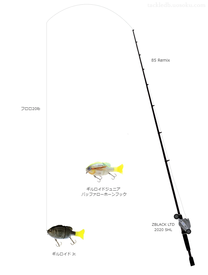 バス釣りに関するタックル、仕掛け図解