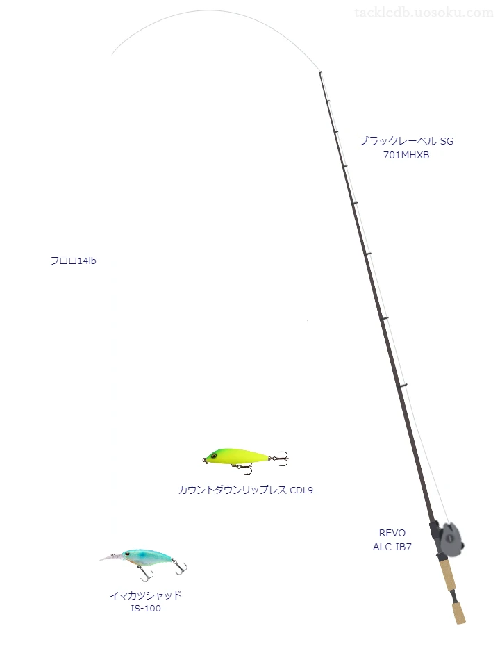 バス釣りに関するタックル、仕掛け図解