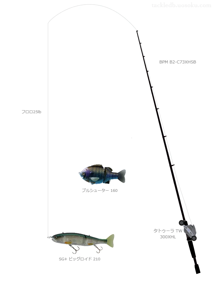 バス釣りに関するタックル、仕掛け図解