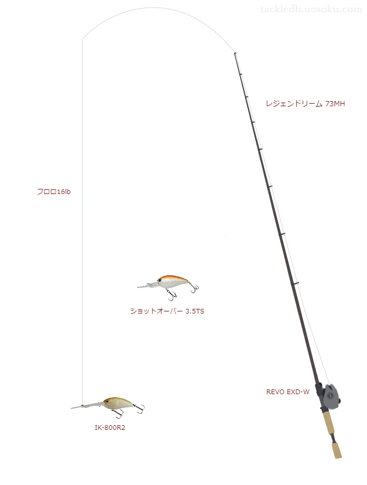 バス釣りに関するタックル、仕掛け図解