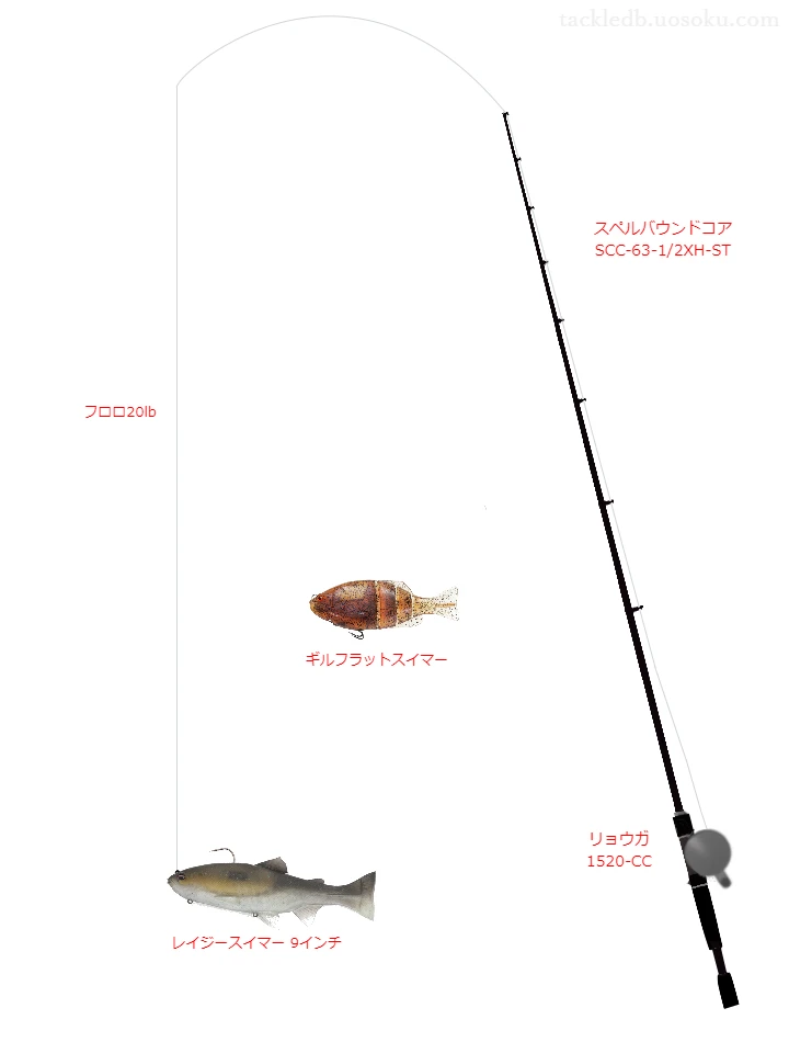 バス釣りに関するタックル、仕掛け図解