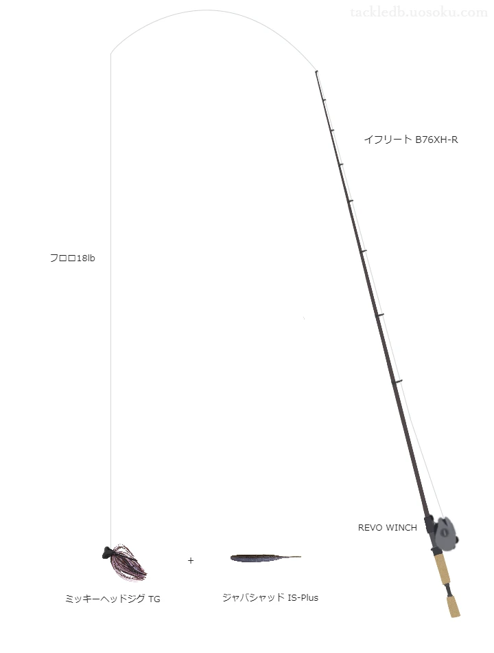 【ポンド】ミッキーヘッドジグ TGを活かすバス釣りタックル【仮想インプレ】