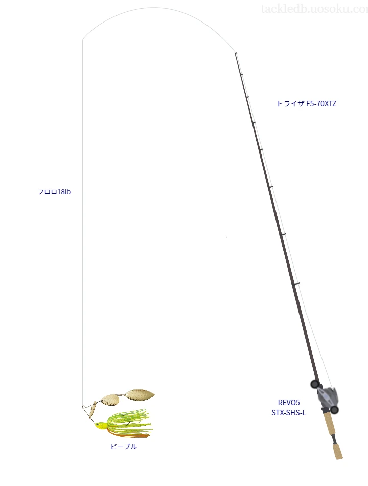 バス釣りに関するタックル、仕掛け図解