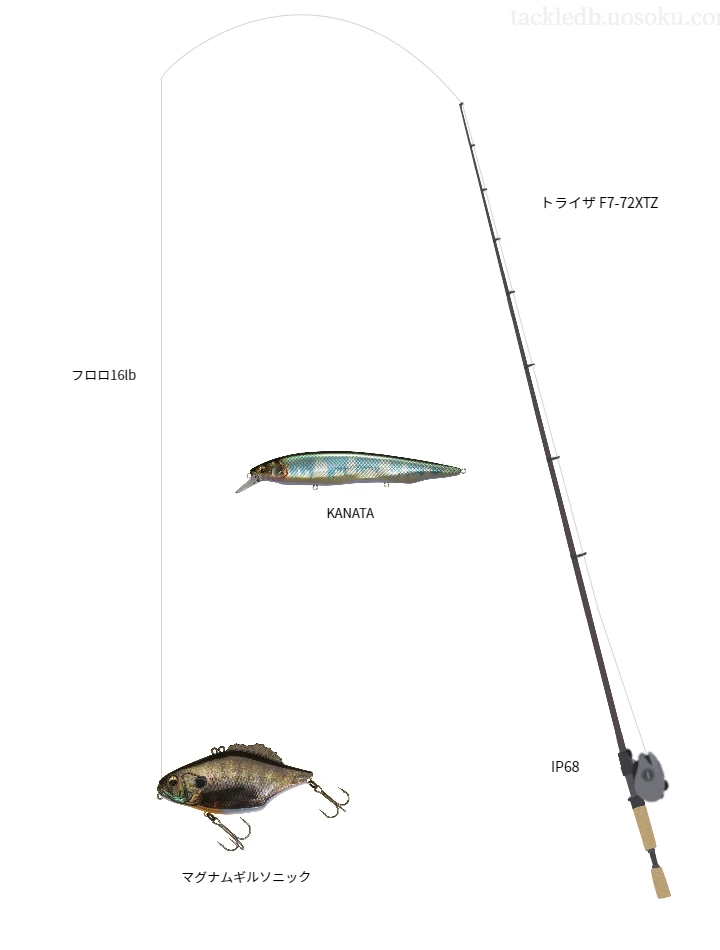 バス釣りに関するタックル、仕掛け図解