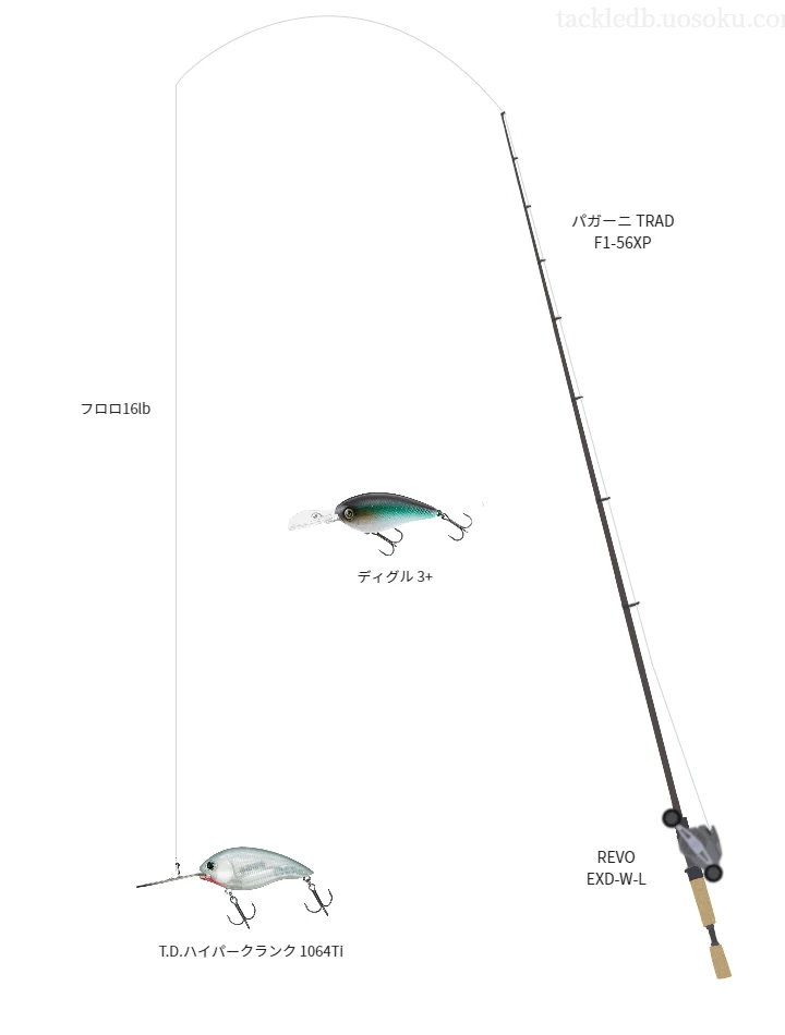 バス釣りに関するタックル、仕掛け図解