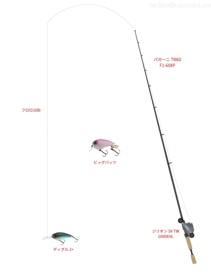 バス釣りに関するタックル、仕掛け図解