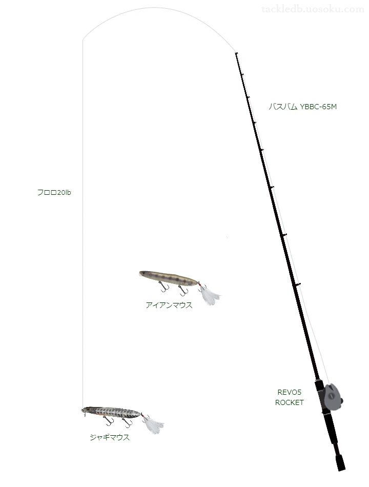 バス釣りに関するタックル、仕掛け図解