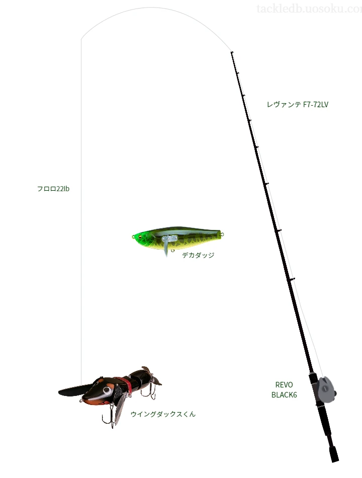 バス釣りに関するタックル、仕掛け図解