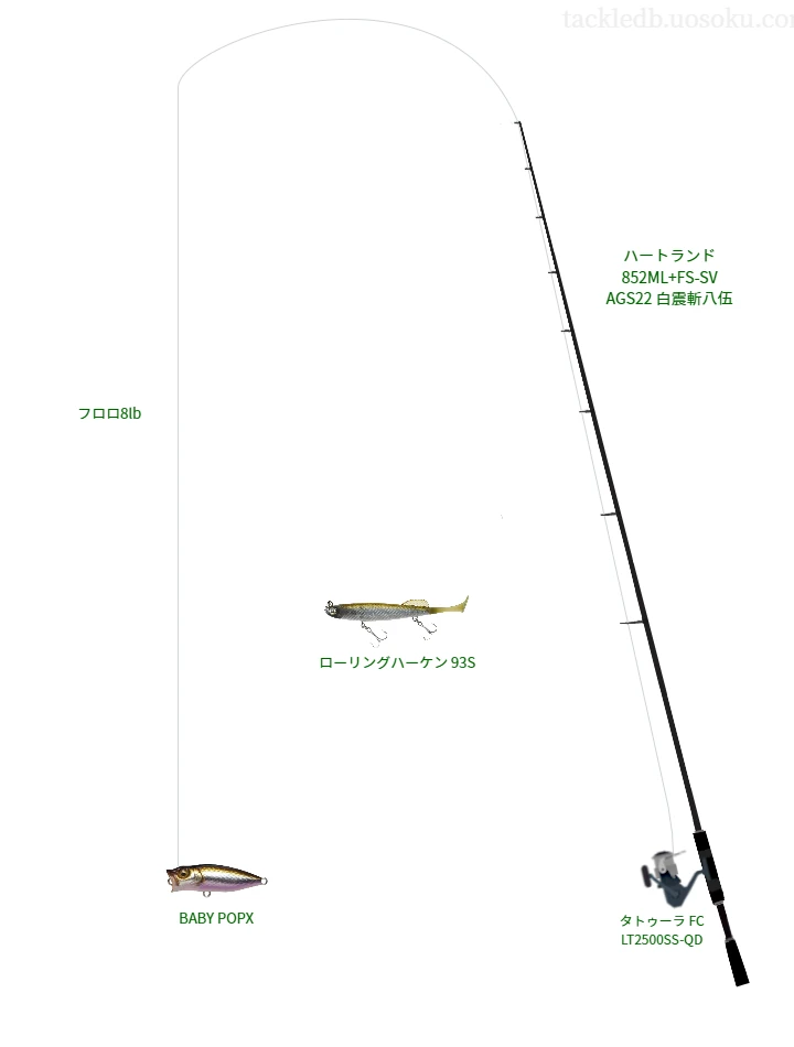 バス釣りに関するタックル、仕掛け図解