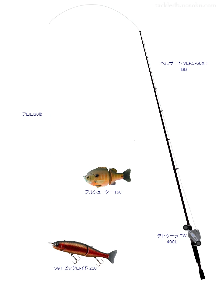 バス釣りに関するタックル、仕掛け図解