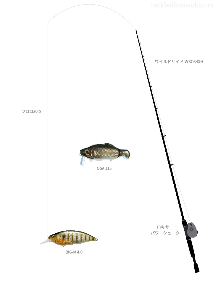 バス釣りに関するタックル、仕掛け図解