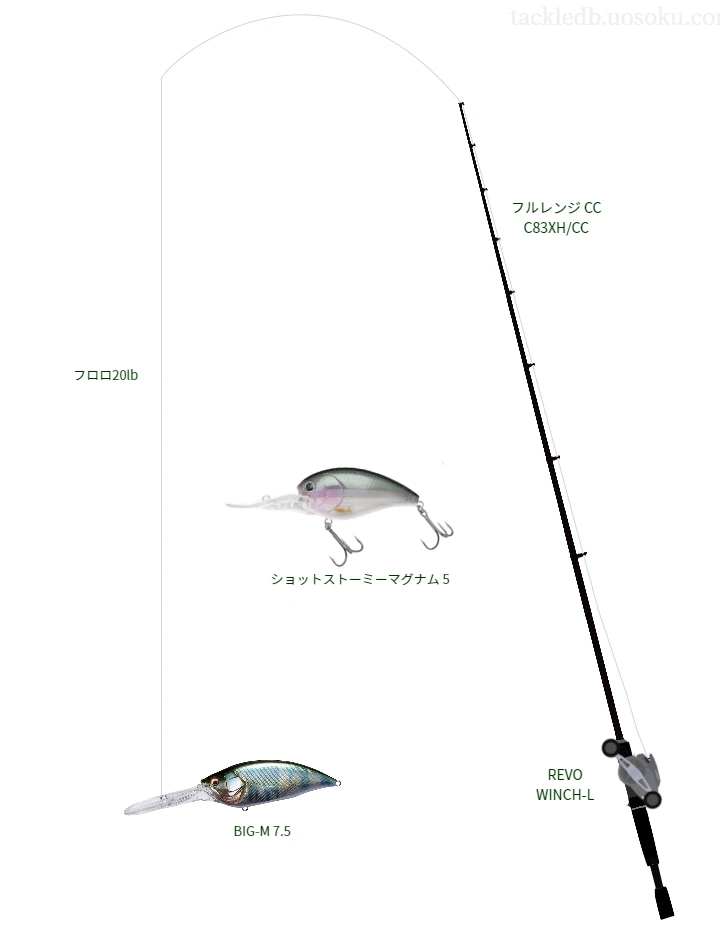 バス釣りに関するタックル、仕掛け図解