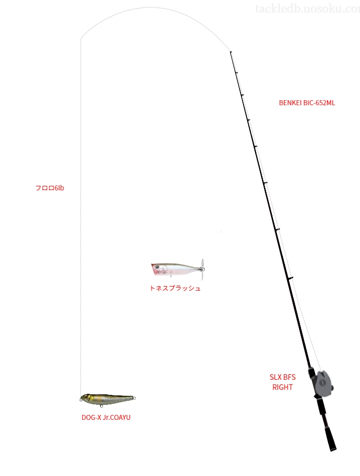 バス釣りに関するタックル、仕掛け図解