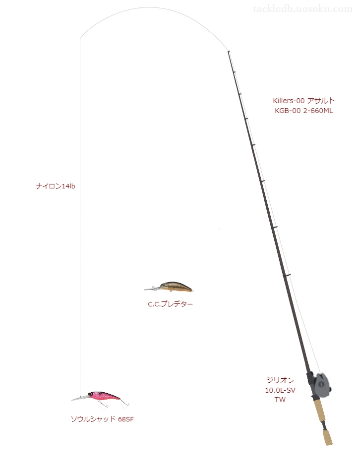 バス釣りに関するタックル、仕掛け図解