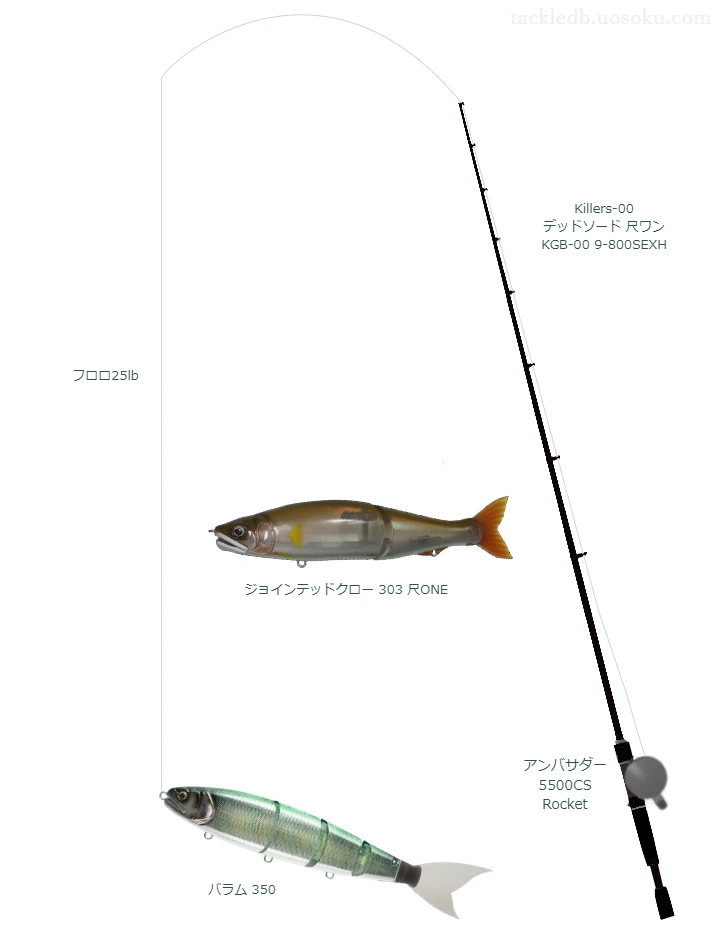 バス釣りに関するタックル、仕掛け図解