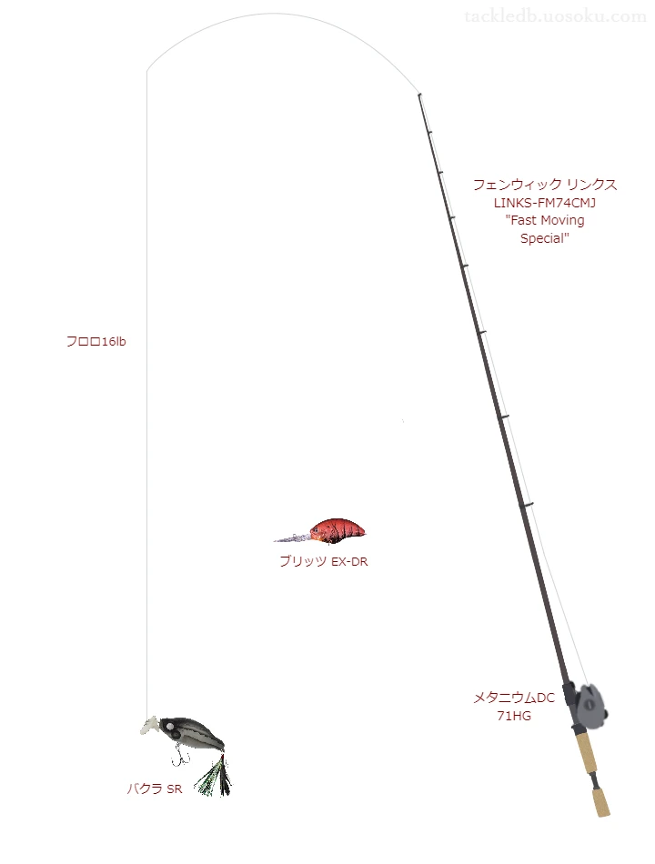 バス釣りに関するタックル、仕掛け図解