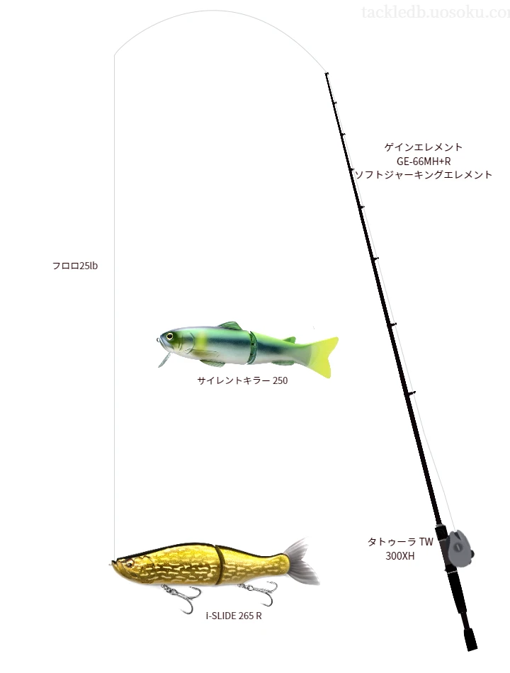 ゲインエレメント GEとタトゥーラ TW 300XHの調和によるバス釣りタックル【仮想インプレ】