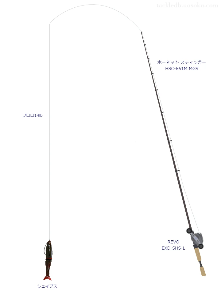 バス釣りに関するタックル、仕掛け図解