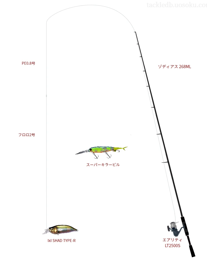 ゾディアス 268MLとダイワのリールでIxI SHAD TYPE-Rを使用するタックル