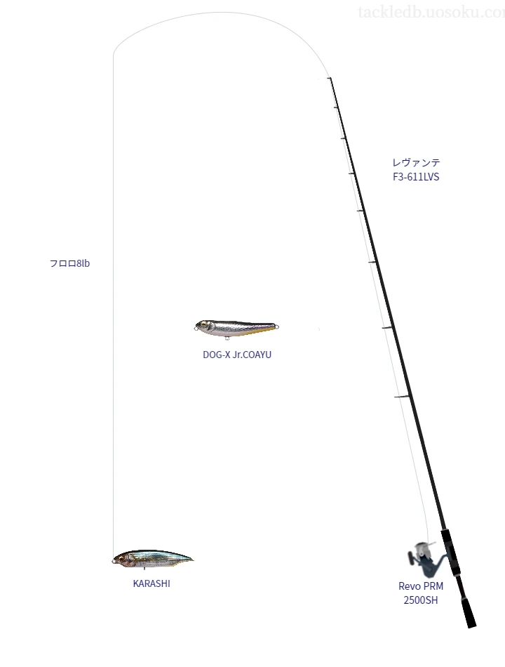 バス釣りに関するタックル、仕掛け図解