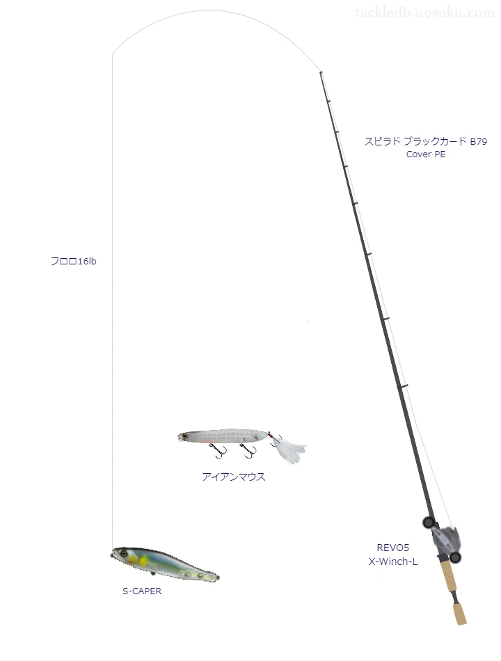 バス釣りに関するタックル、仕掛け図解