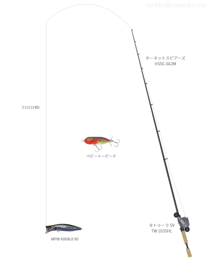 バス釣りに関するタックル、仕掛け図解