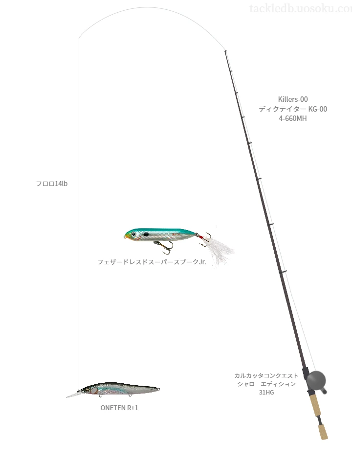 バス釣りに関するタックル、仕掛け図解