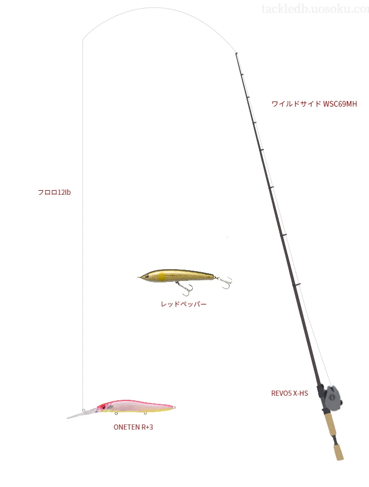 バス釣りに関するタックル、仕掛け図解