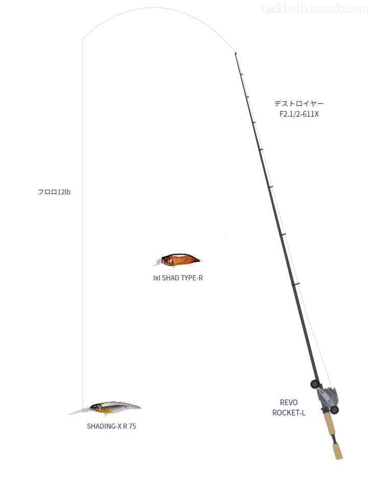 バス釣りに関するタックル、仕掛け図解