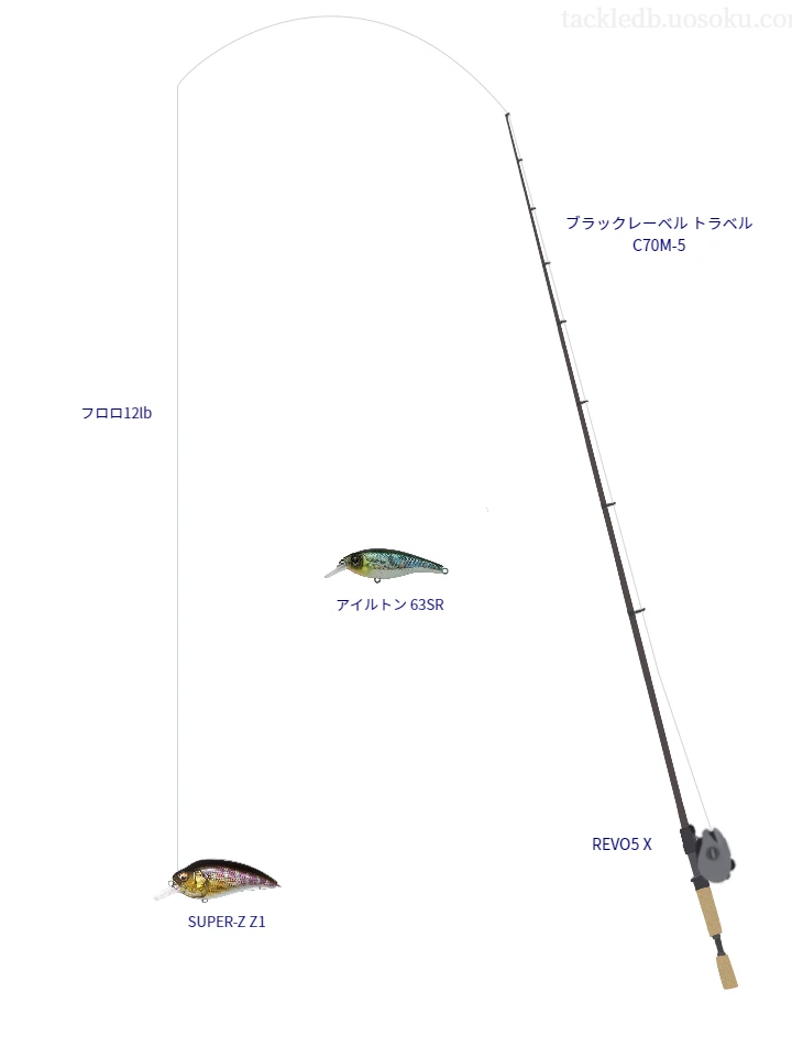 バス釣りに関するタックル、仕掛け図解