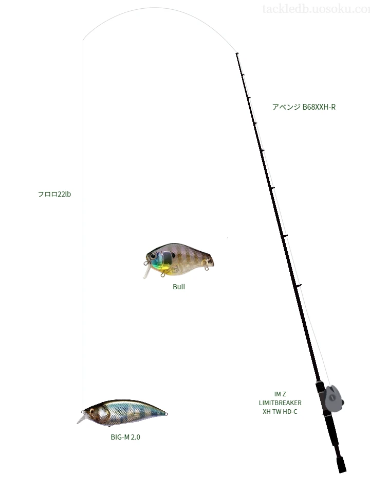 バス釣りに関するタックル、仕掛け図解