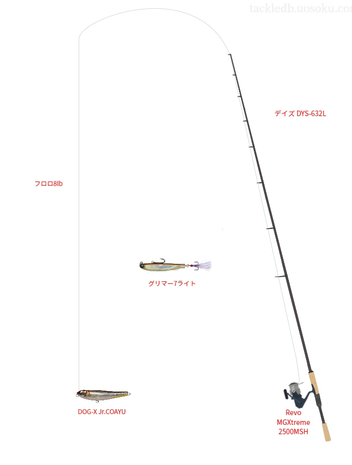 バス釣りに関するタックル、仕掛け図解