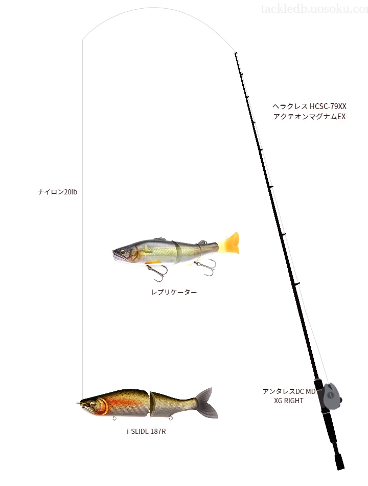 バス釣りに関するタックル、仕掛け図解