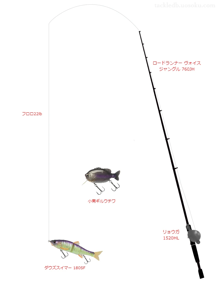 バス釣りに関するタックル、仕掛け図解