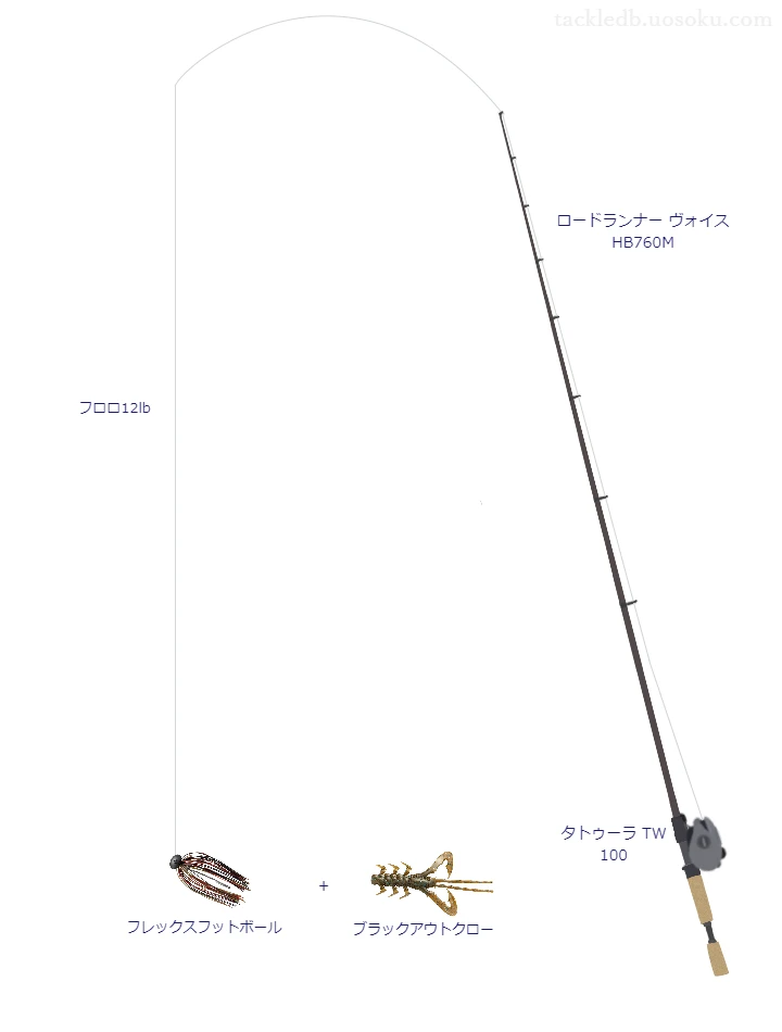 バス釣りに関するタックル、仕掛け図解