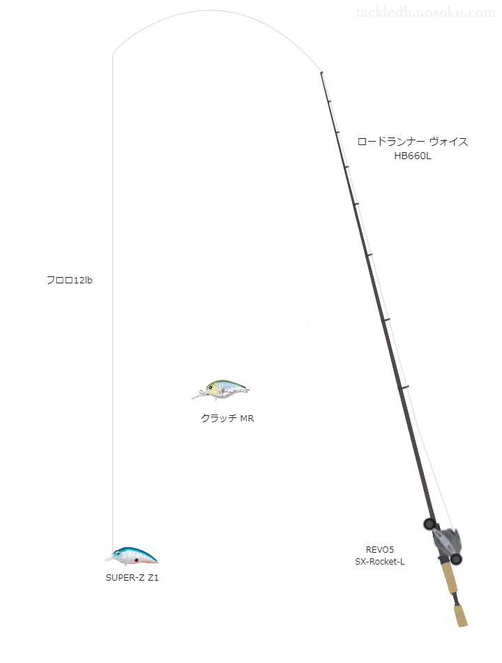 バス釣りに関するタックル、仕掛け図解