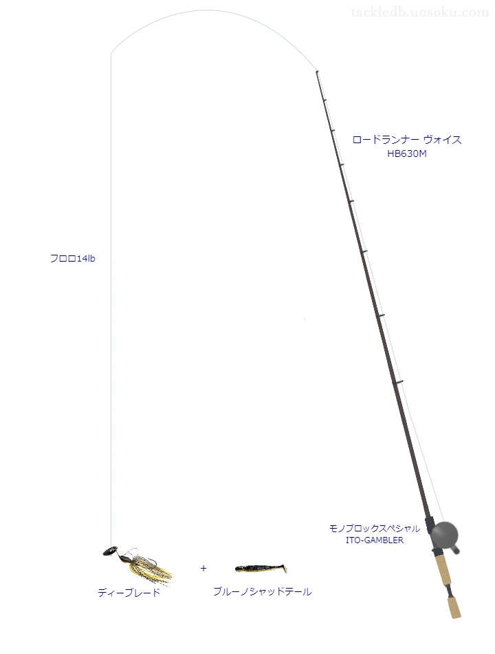 ディーブレードのためのベイトタックル。ノリーズのロッドとメガバスのリール