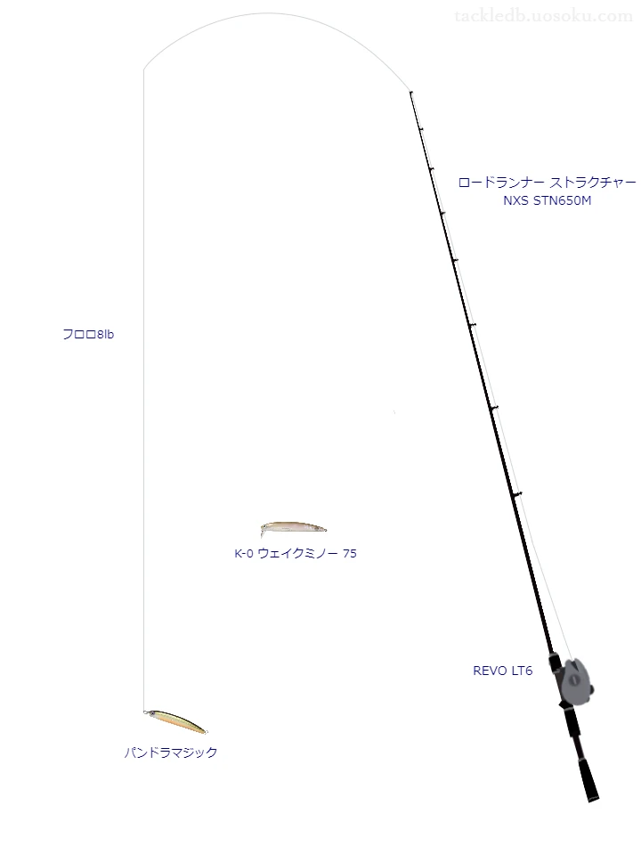 ロードランナー ストラクチャー NXS STN650M,REVO LT6,ミノーを使うバス釣りタックル【仮想インプレ】