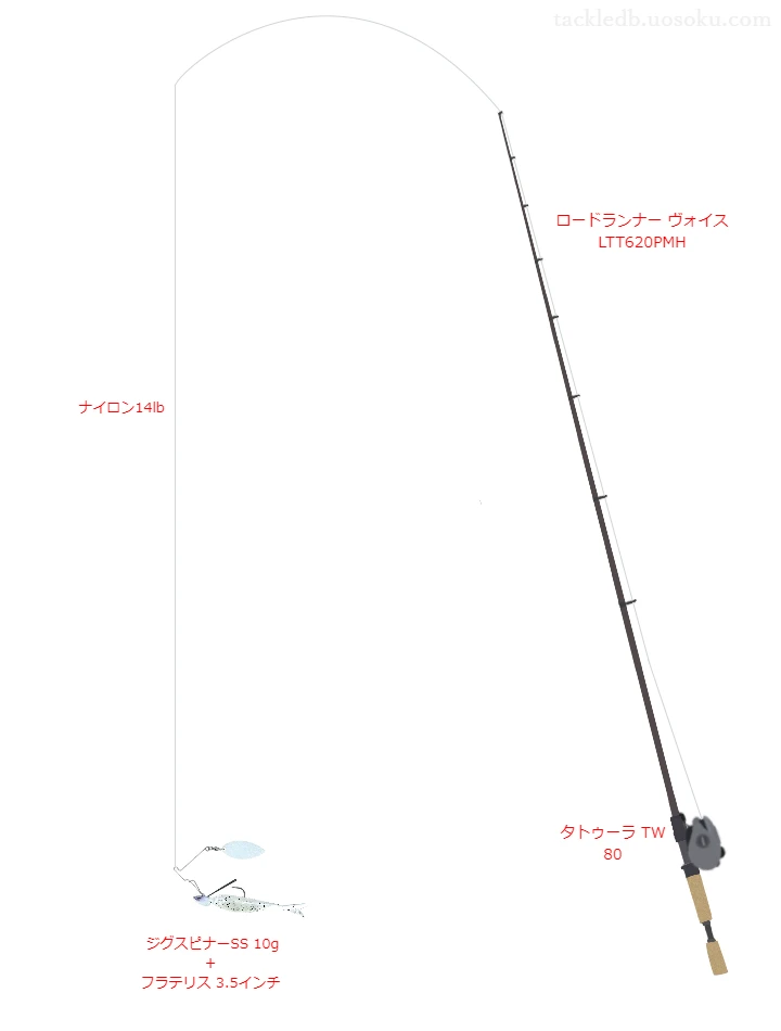 ジグスピナーSS 10gのためのベイトタックル。ノリーズのロッドとダイワのリール