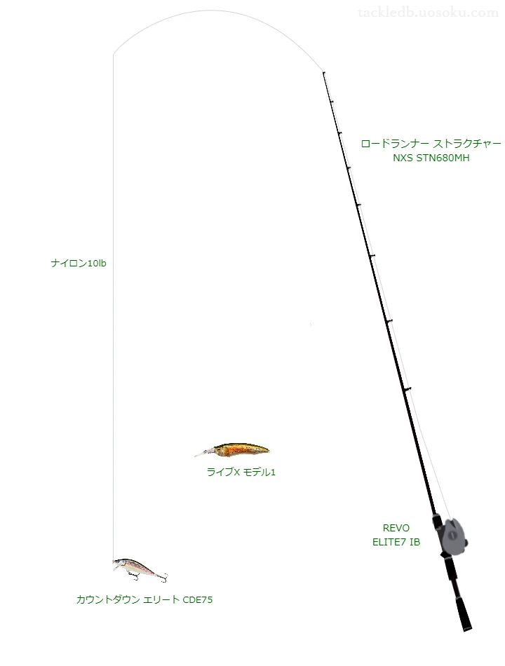 バス釣りに関するタックル、仕掛け図解